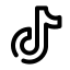 TikTok Logo